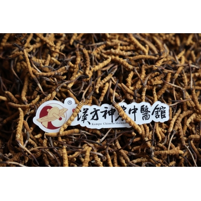 哪些人適合吃冬蟲夏草，這幾類人要注意！