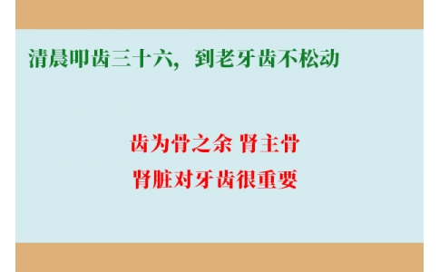 清晨叩齒三十六，到老牙齒不松動