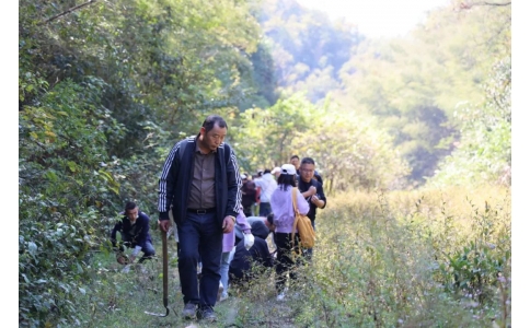 踏秋尋寶，聞香識(shí)藥！首屆神農(nóng)杯野外識(shí)藥大賽在株洲鳳凰山景區(qū)成功舉辦！