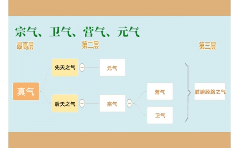 中醫(yī)里的“宗氣”、“衛(wèi)氣”、“營氣”、“元氣”